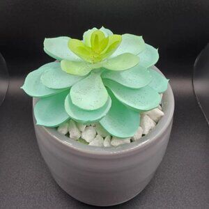 Small Faux Succulent Plants in Grey Pots Artificial Home Office Desk Décor